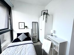The Lakefront Residences (D22), Condominium #453104691
